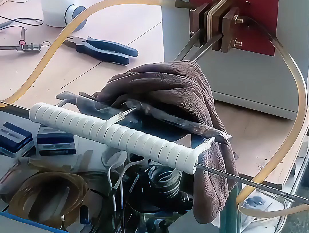 海拓超高频加热机：不锈钢丝在线退火的高效解决方案，赋能多领域线材加工